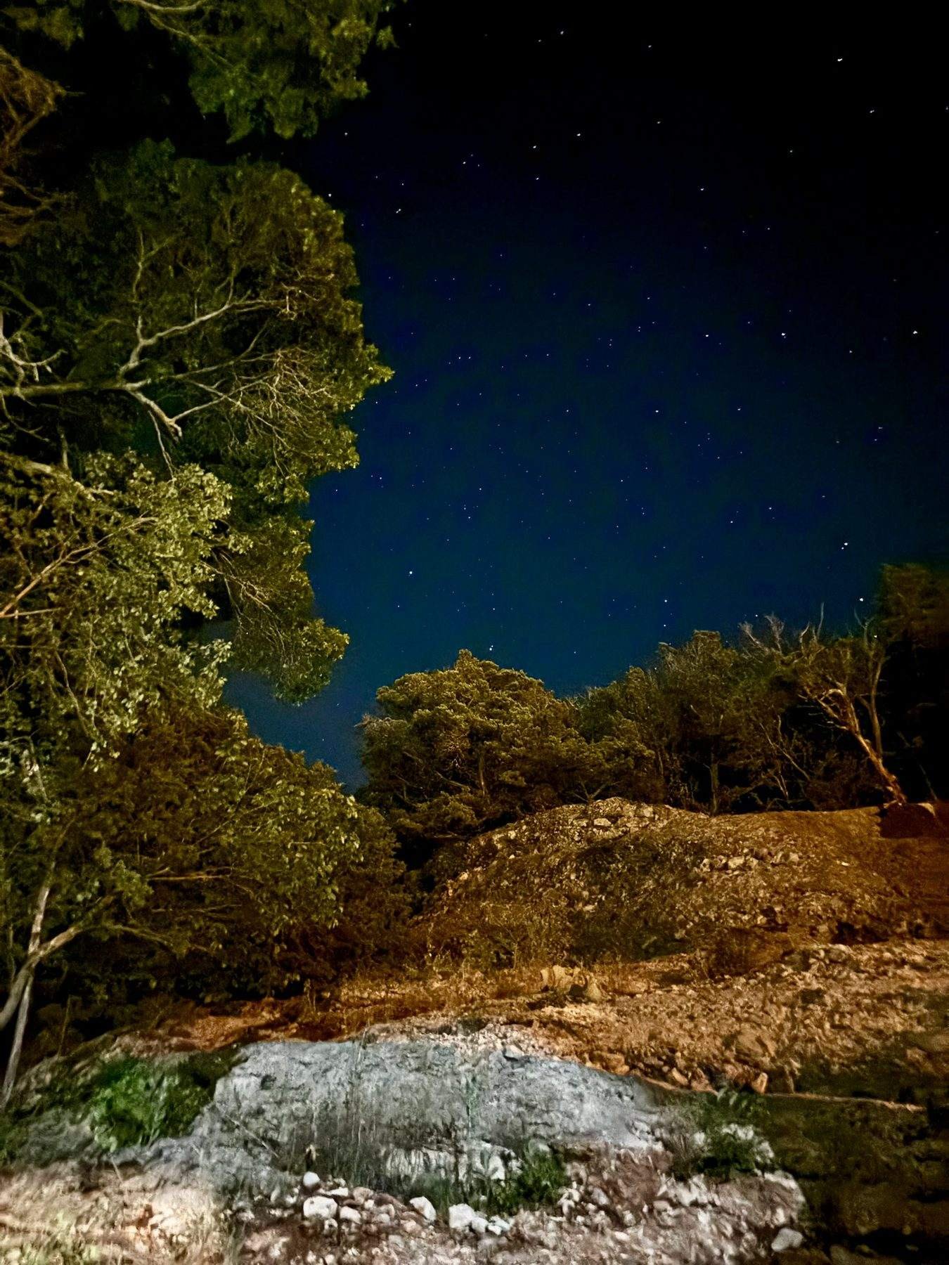A star-filled night sky over the trees and rock above the firepit terrace
