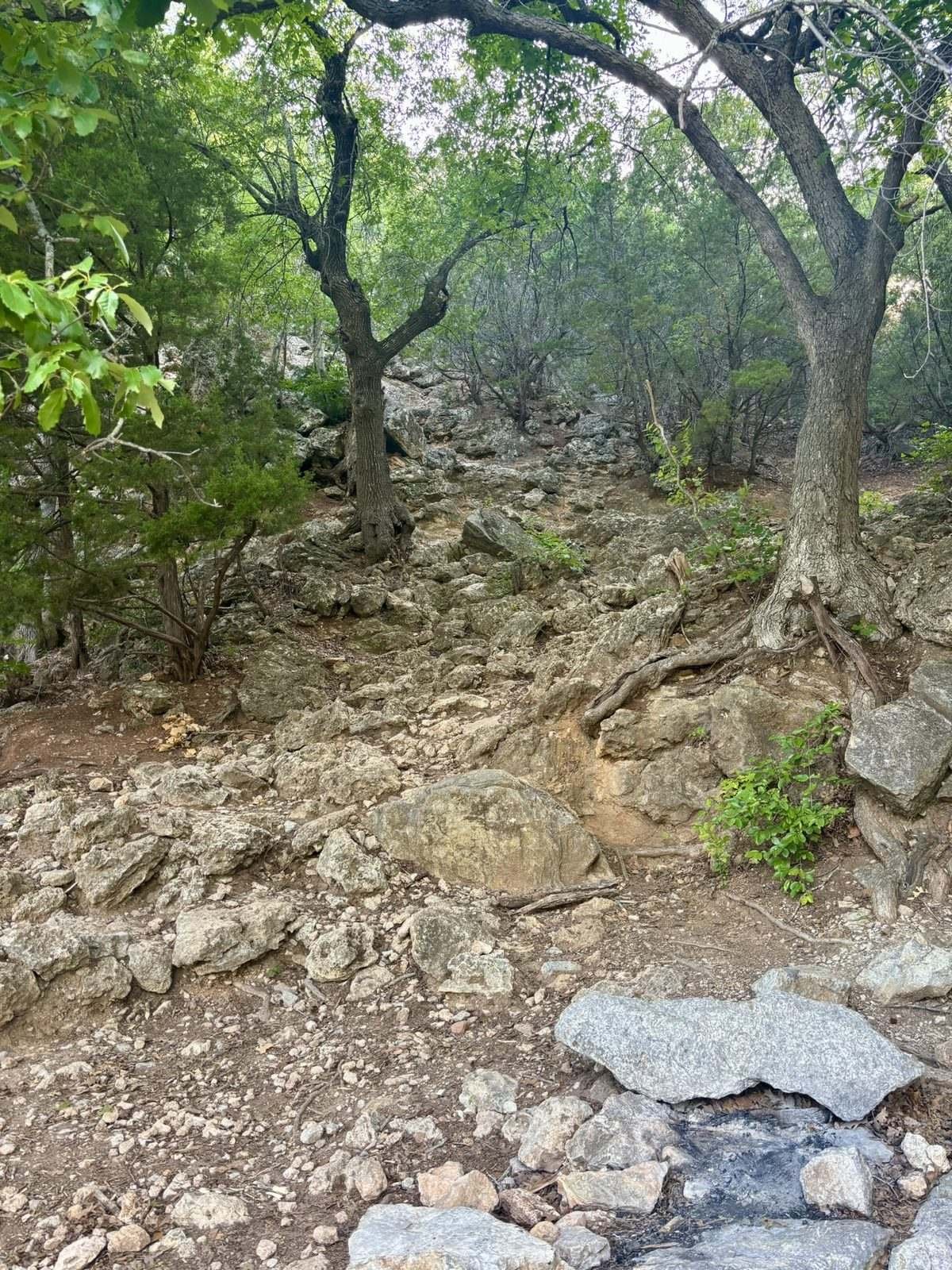 A rocky hiking trail climbing through trees in the Arbuckle Mountains