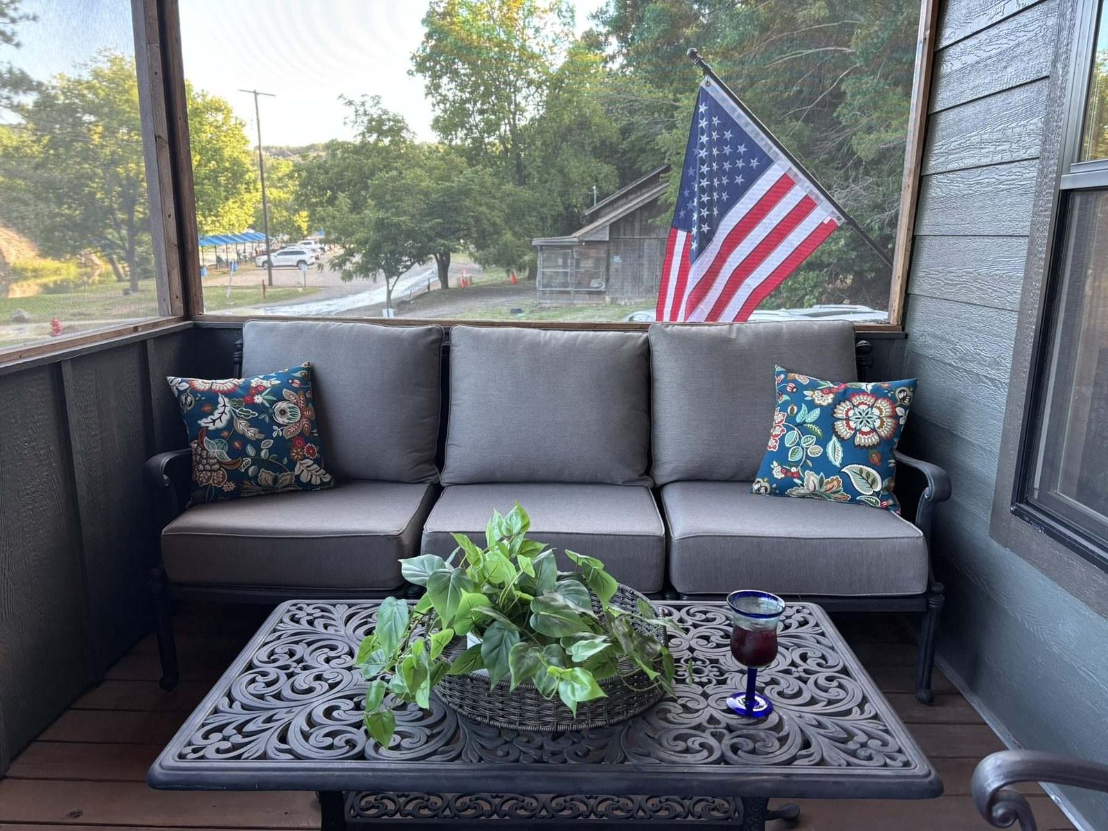 The screened porch by day, looking out through the screens toward the trees and the park road